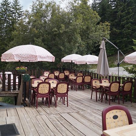 Hotel - Restaurant Le Blanchon Selonnet المظهر الخارجي الصورة