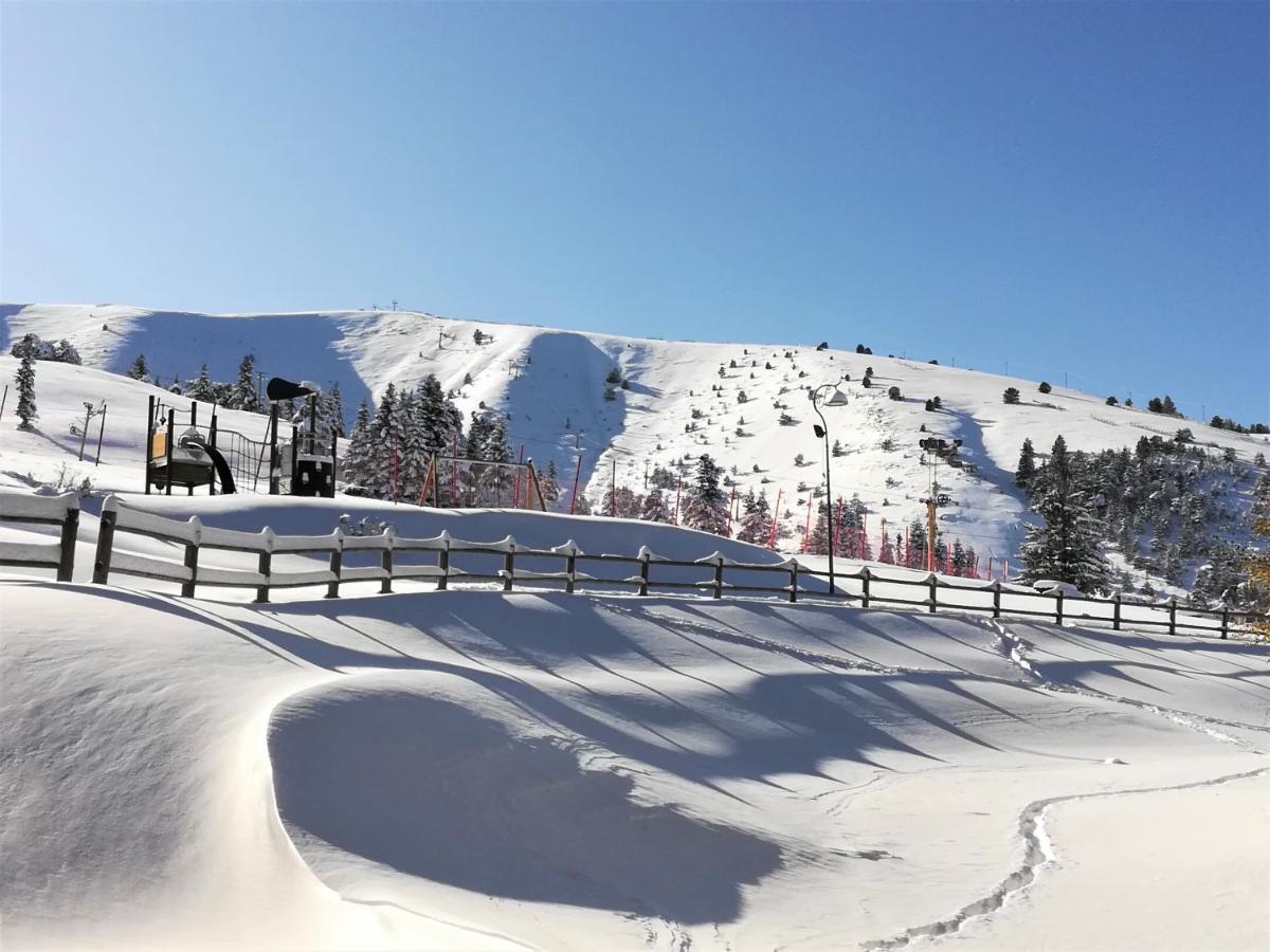 Hotel - Restaurant Le Blanchon Selonnet المظهر الخارجي الصورة